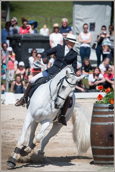 Pferd International 171